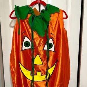 Pumpkin Halloween Costume